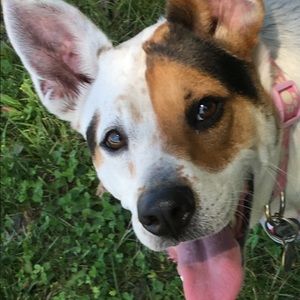 Meet your Posher, Karen